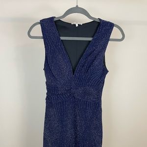 Sparkly Bodycon Dress